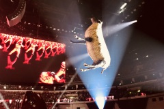 Roger Waters - Budapest, MVM Dome, 2023. 04.23.