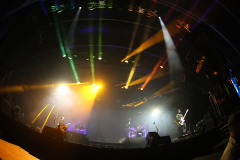 3L8A6126