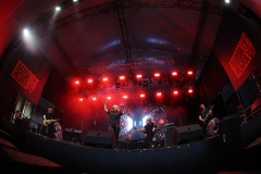 3L8A1431