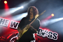 The Winery Dogs és az SFV a Barba Negrában (2023. 10. 28.)