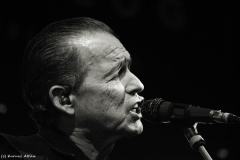 Tommy Castro - Analog Music Hall