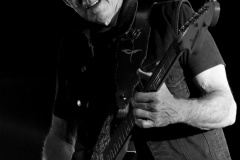 Tommy Castro - Analog Music Hall