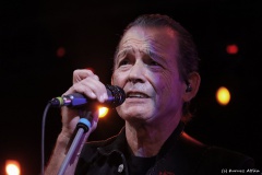 Tommy Castro - Analog Music Hall
