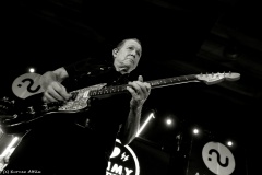 Tommy Castro - Analog Music Hall