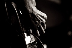 Tommy Castro - Analog Music Hall