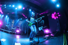 Zanzibar 25 koncert – Akvárium, 2024. 09. 28.