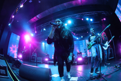 Zanzibar 25 koncert – Akvárium, 2024. 09. 28.