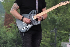 Zsaya Rock 50