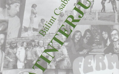 Bálint Csaba: Beatinterjúk II.