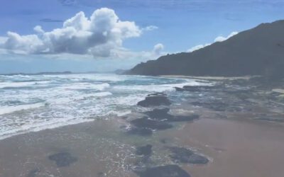 Justin Sullivan – Sea Again