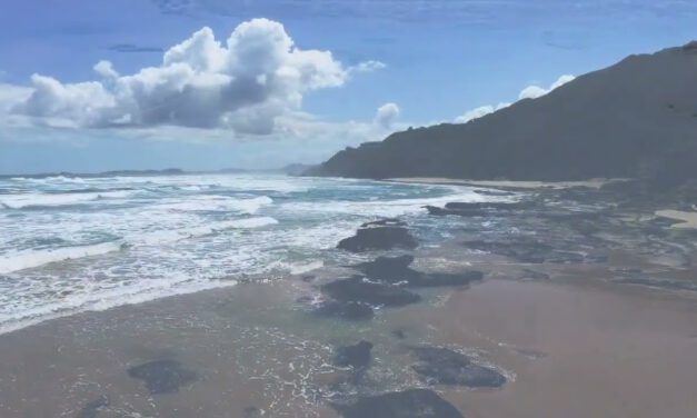 Justin Sullivan – Sea Again