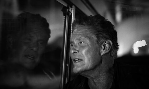 David Hasselhoff – The Passenger