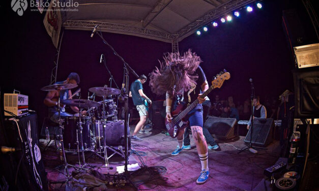 Az Alpárfeszt teljes gőzzel és új helyszínnel tér vissza!