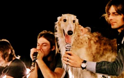 Pink Floyd – Live at Pompeii 50 – 3. rész