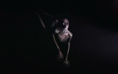 TOOL – Opiate² (Audio)