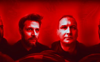 Ghost Toast: Shade Without Color