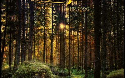 Kaipa: Urskog (2022)
