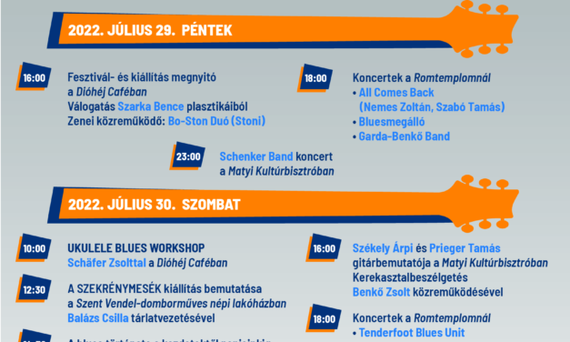 VI. ZSÁMBÉKI BLUES PIKNIK