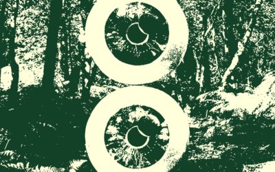 A 2006-os újrakiadás részletei – Pink Floyd: Pulse – 6. rész