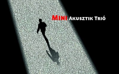 Mini Akusztik Trió – Nyitott kapu Bartók költői világára