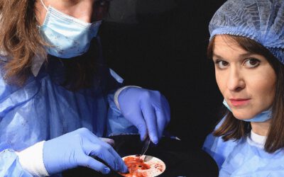 Kultikus lemezeket boncolgat Németh Juci és Vitáris Iván