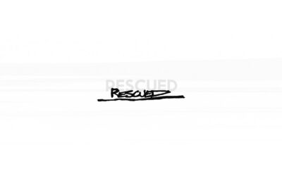Foo Fighters – Rescued (Lyric Video)