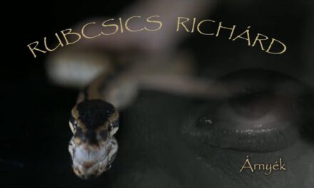 Rubcsics Richárd (Ossian) – Árnyék – Énséges Idők album 2023
