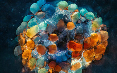 Csaba Palotai – Simon Drappier – Steve Argüelles: Sunako