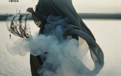 Sanne Rambags – Vincent Courtois – Julian Sartorius: Twigs