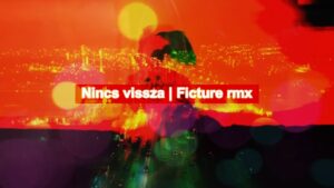 Vad Fruttik – Nincs vissza – Ficture rmx