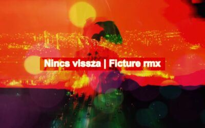Vad Fruttik – Nincs vissza – Ficture rmx