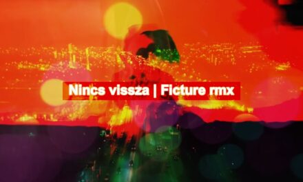 Vad Fruttik – Nincs vissza – Ficture rmx
