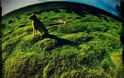Mike Oldfield: 50 éves a Hergest Ridge