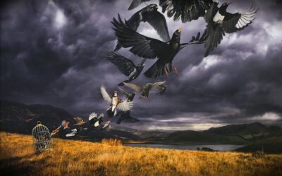 David Gilmour – Út a Luck and Strange-ig – 4. rész