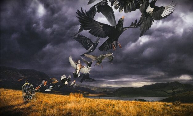 David Gilmour – Út a Luck and Strange-ig – 4. rész