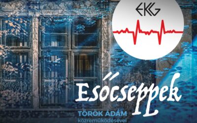 ESŐCSEPPEK – 35 év után végre elérhetővé válik az EKG Török Ádám közreműködésével készült art rock szvitje