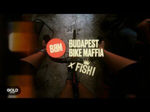 FISH! – Mindenki fél (BBM)