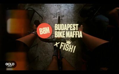 FISH! – Mindenki fél (BBM) 