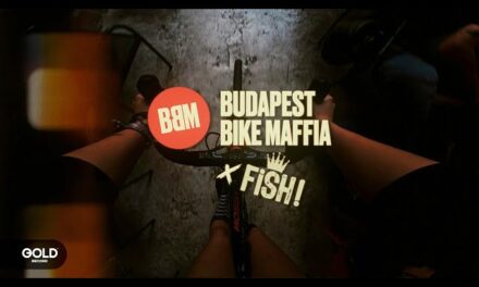 FISH! – Mindenki fél (BBM) 