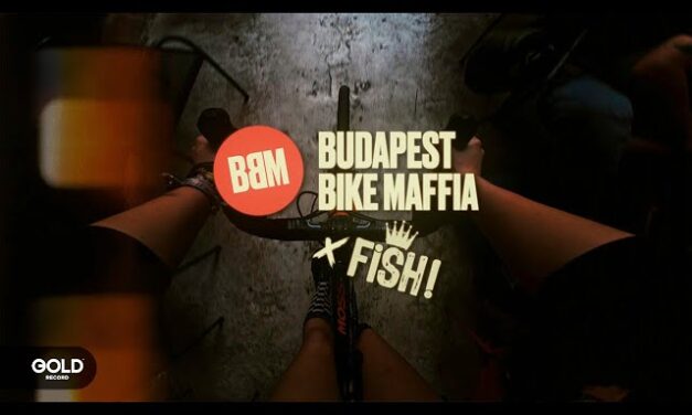 FISH! – Mindenki fél (BBM) 