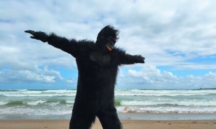 We Are Scientists – I Could Do Much Worse