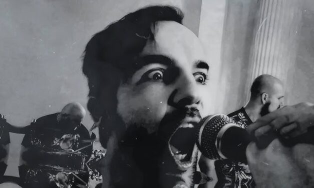 Zord – Wry