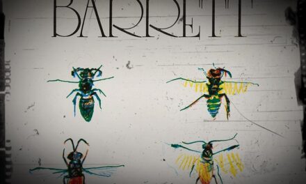 Syd Barrett – 55 éves a Barrett album – 1. rész