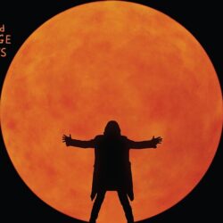 David Gilmour: Live At The Circus Maximus / The Luck And Strange Concerts gilmour2025nyito