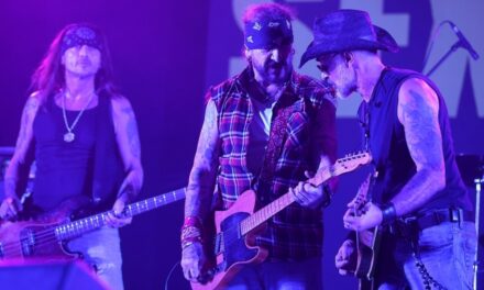 Sex Action 35, Sing Sing és Vadvágány koncert