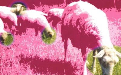 Pink Floyd: 50 éves a Wish You Were Here – 5. rész