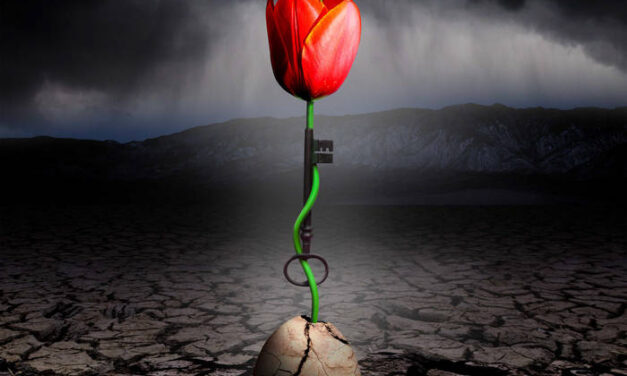 Spock’s Beard: The Archeoptimist