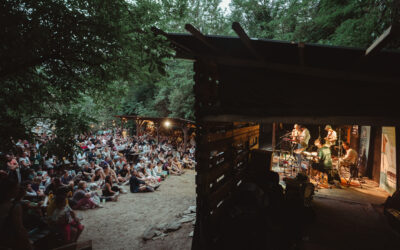 Új fellépők a 35. Művészetek Völgyében