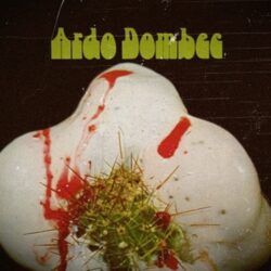 Ardo Dombec: 55 éve jelent meg a legendás album ardodombec1971nyito