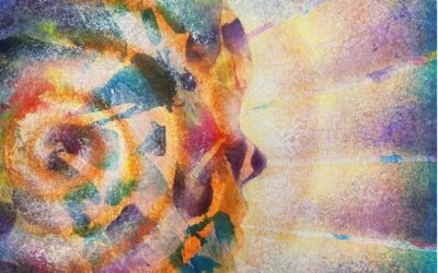 Soft Machine: Thirteen